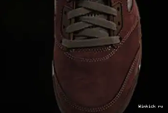 Air 5 “Burgundy” Jordan 0504